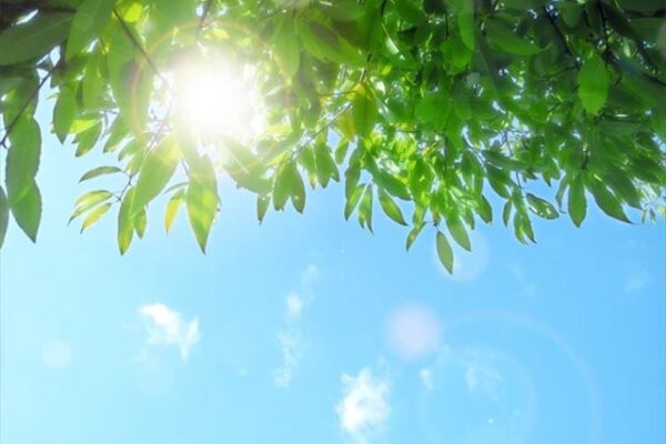 外壁塗装　御殿場市　小山町　裾野市